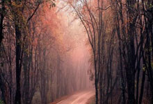 京多安:格雷茨卡去年谦逊地留队为位置而战,最终各方都因此获益.