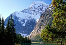 德甲-拜仁2-2遭弗赖堡绝平 5战仅1胜落后药厂7分.