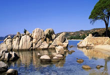 德甲-拜仁2-2遭弗赖堡绝平 5战仅1胜落后药厂7分.